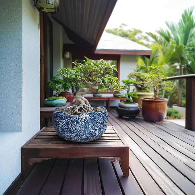 10 Inch Plant Pot - Image 3