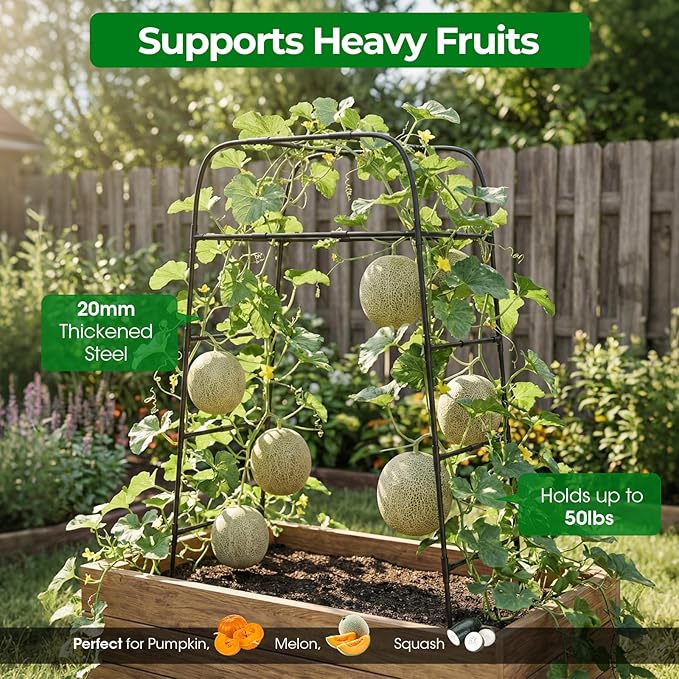 Garden Arch Trellis for Climbing Plants, Rustproof Steel Tunnel Support for - Image 4