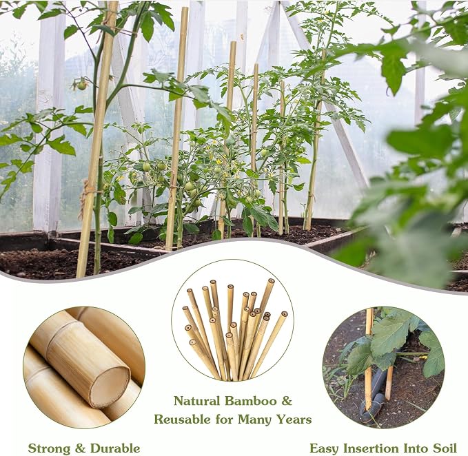 Plant Stakes 16inch, HAINANSTRY Plant Support Stakes - Image 4