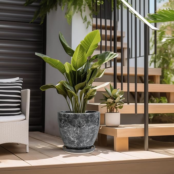 Ceramic Pots for Plants - Image 5