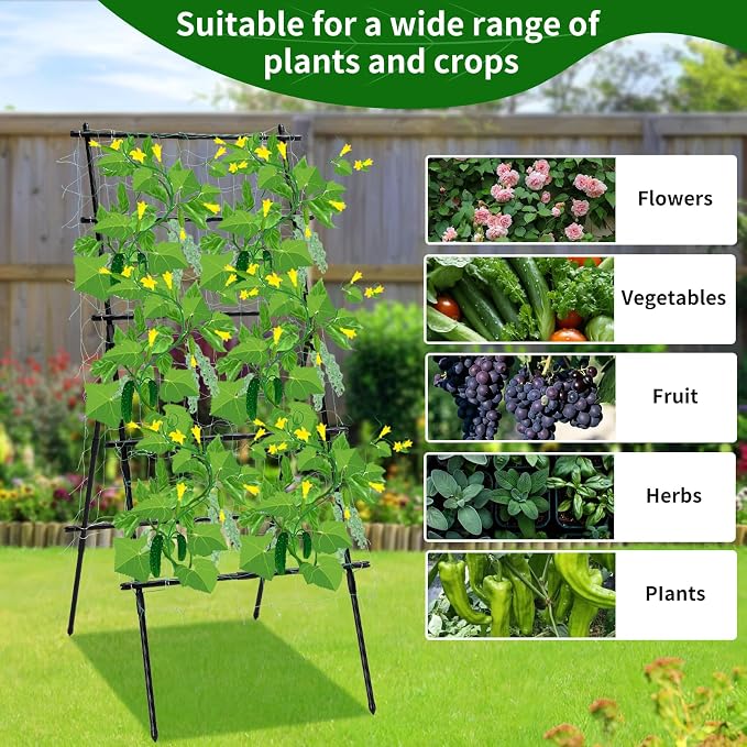 Lalahoni Cucumber Trellis, 6ft Tall Metal Garden Trellis - Image 2