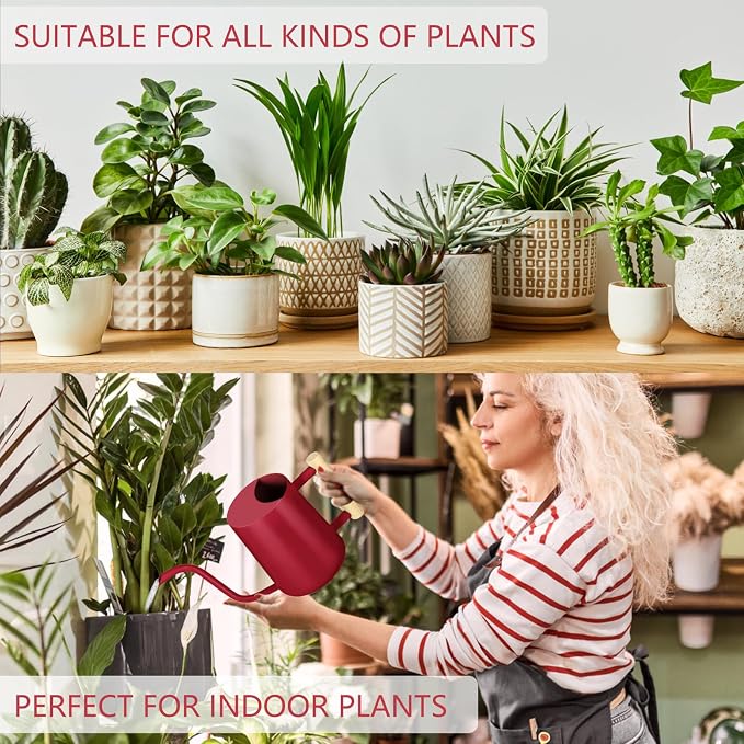 Watering Can Indoor Plants, 35oz Small Stainless Steel Metal Watering Can - Image 5