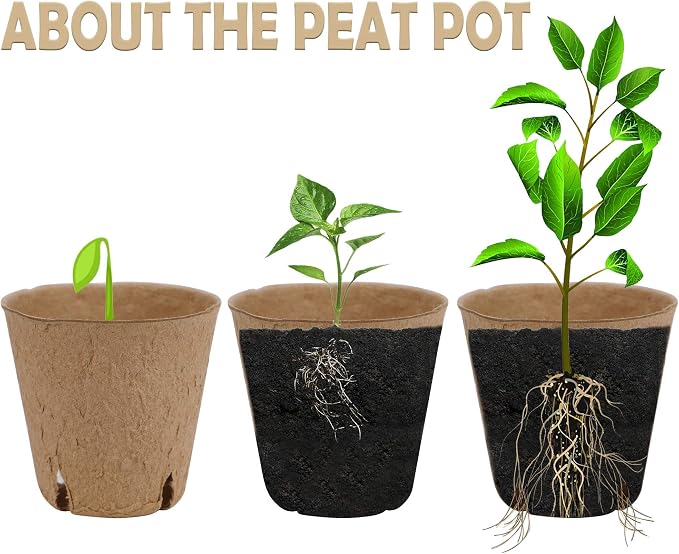 winemana 100 Pack Seed Starter Tray Kit, Biodegradable Peat Pots - Image 3