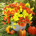 Artificial Flowers for Outdoors, UV Resistant Fake Silk Morning Glory, by maxkes
