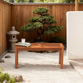 ERGOMASTER Wooden Backless Outdoor Bench Set of 1, 2-Person Indoor Outdoor by ERGOMASTER