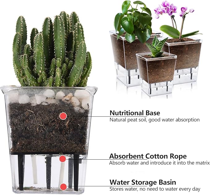 Self Watering Pots Set, 3 Pack 5 Inch - Image 4