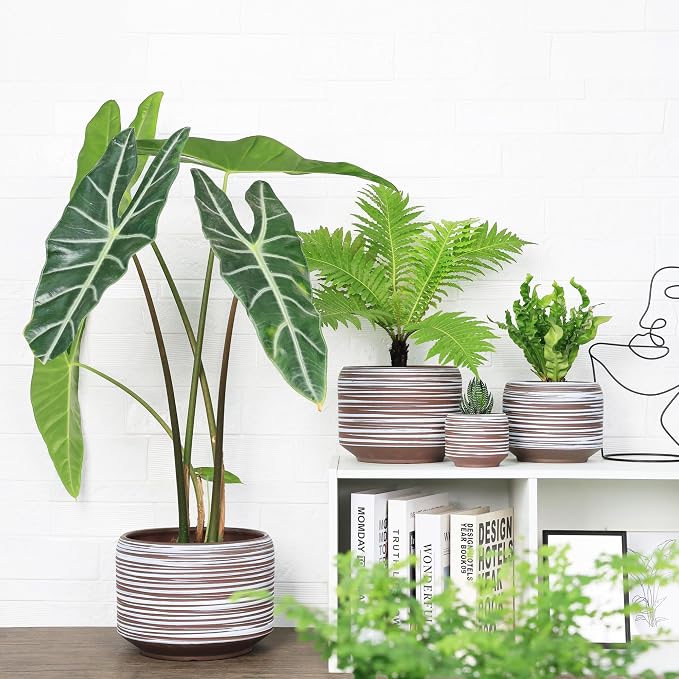 10 Inch Ceramic Plant Pot with Drainage – Large Flower Pot - Image 3