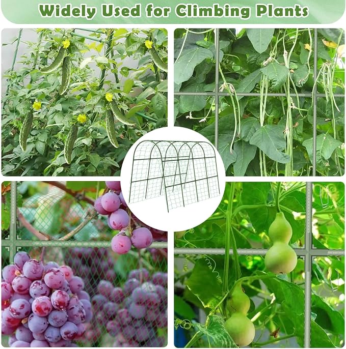 Cucumber Trellis for Raised Bed, Large Size Garden Arch Trellis for Climbing - Image 6