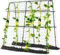Garden Trellis for Climbing Plants Outdoor, Metal Cucumber Trellis Plant by yotoworthgardenhome