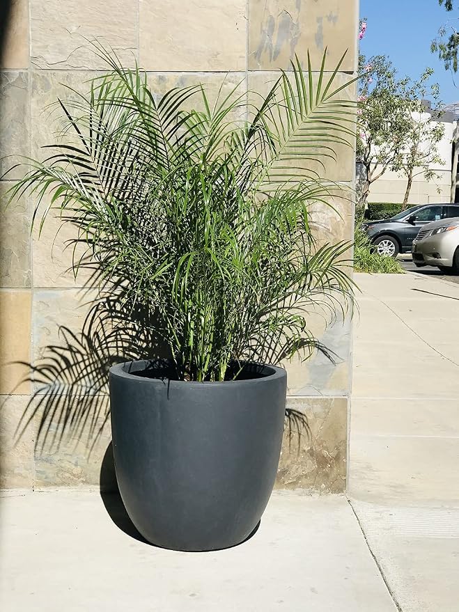 Kante 14 Inch Dia Round Concrete Planter, Indoor Outdoor Large Plant Pot - Image 8