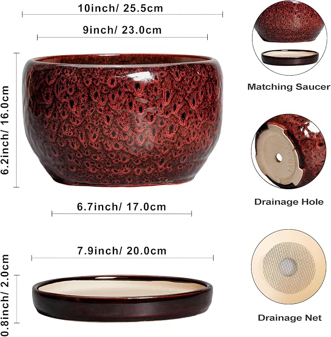 SQOWL Ceramic Flower Pots - Image 3