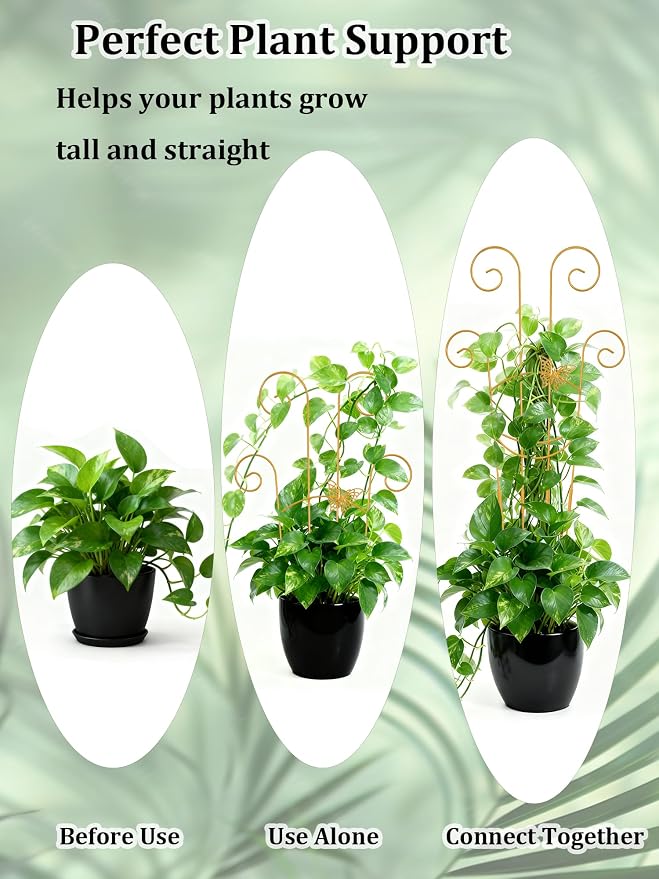 2 Pcs Tall Trellis for Potted Plants, Plant Pothos Climber Support for Monstera - Image 5