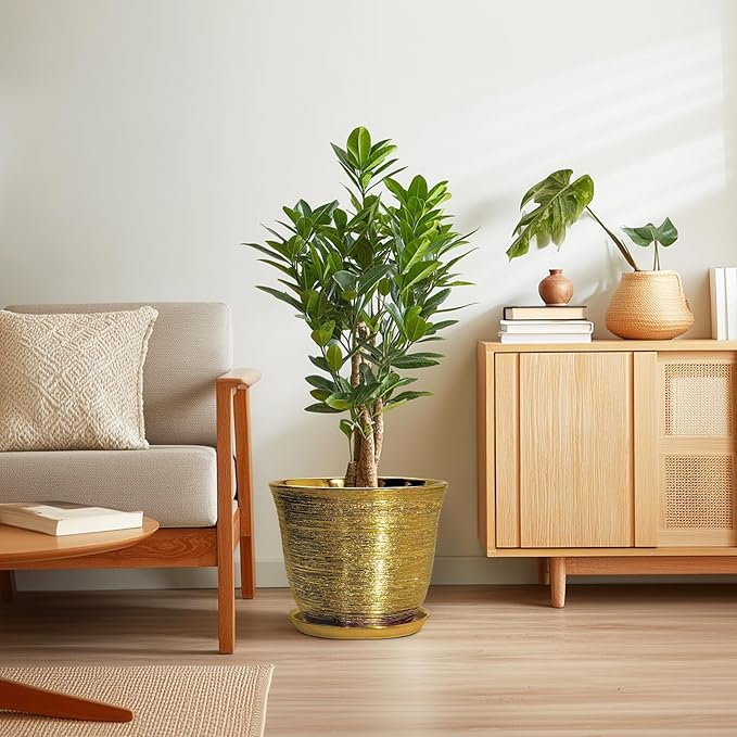 Ceramic Pots for Plants - Image 7