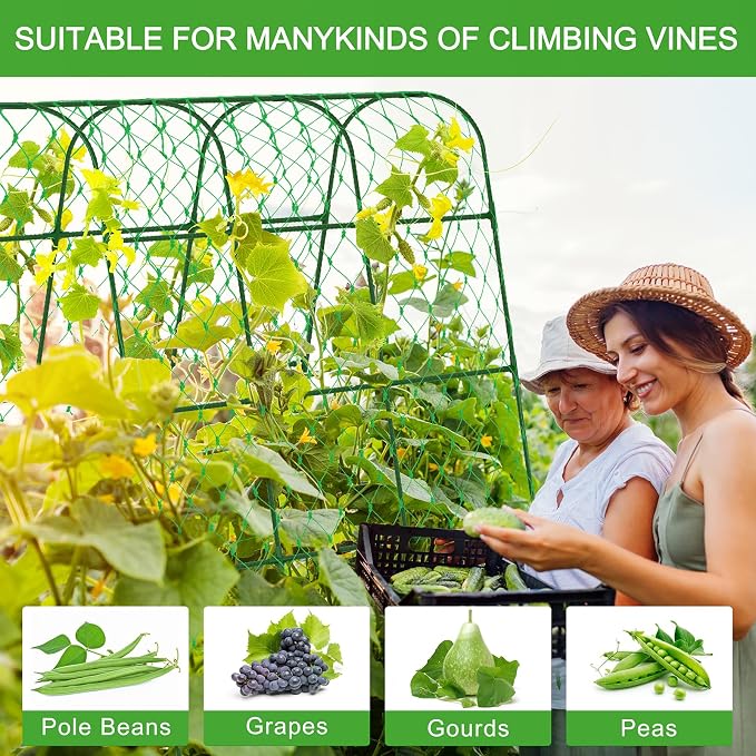 Cucumber Trellis for Raised Bed, U-Shape Garden Trellis for Climbing Plants - Image 8