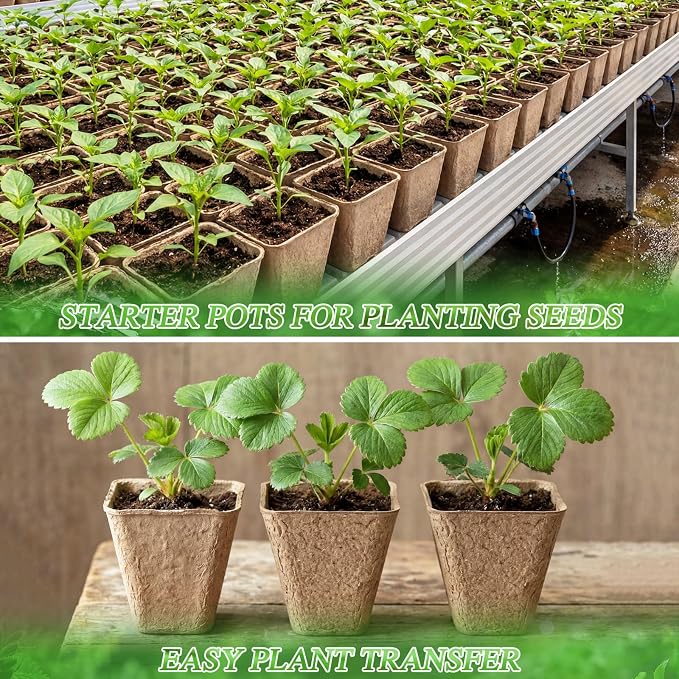 120 Pcs Square Peat Pots for Seedlings - Image 5