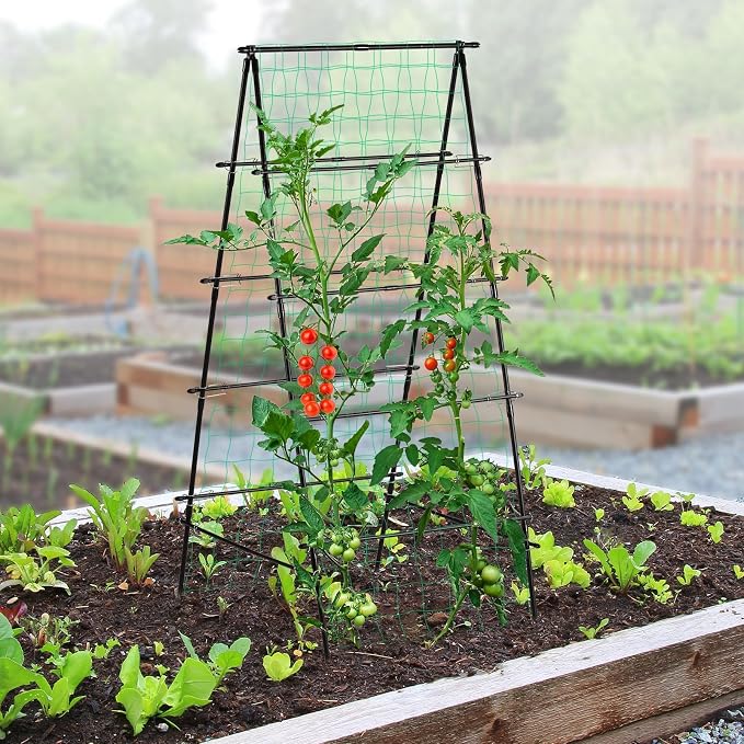 Garden Trellis for Climbing Plants, - Image 2