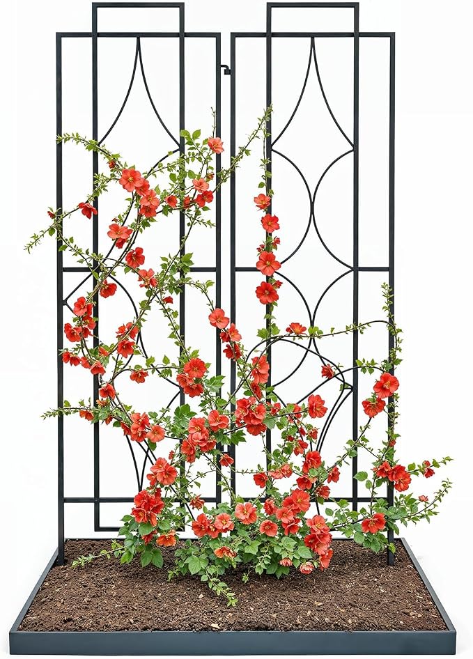 IDZO 2-Piece Diamonds Design Decoration Trellis, Metal Decorative Trellis by Idzo