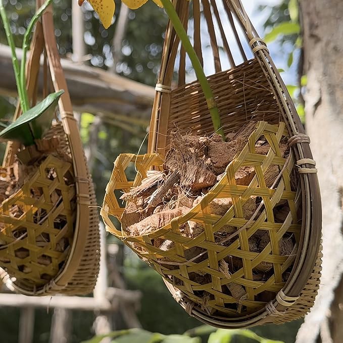 Handmade 100% Thai Bamboo Hanging Orchid Basket – 4 Inch Set of 3 - Image 5