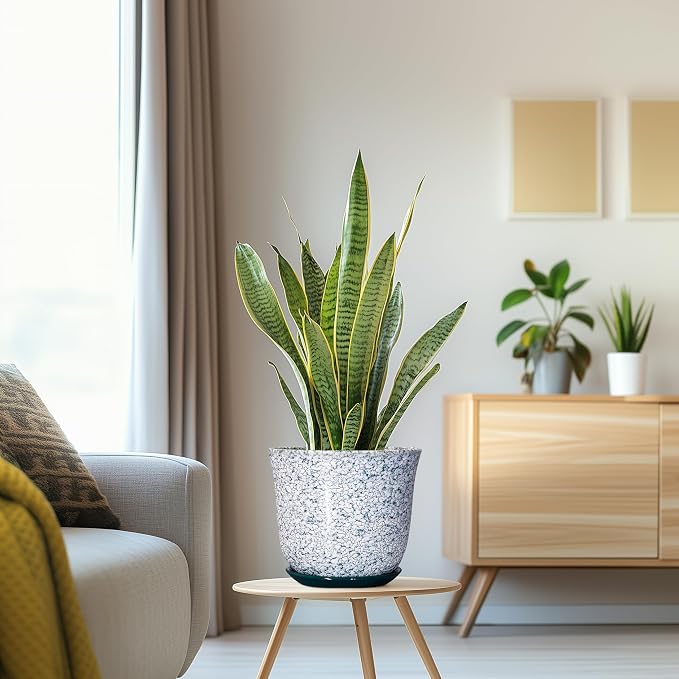 Ceramic Pots for Plants - Image 5
