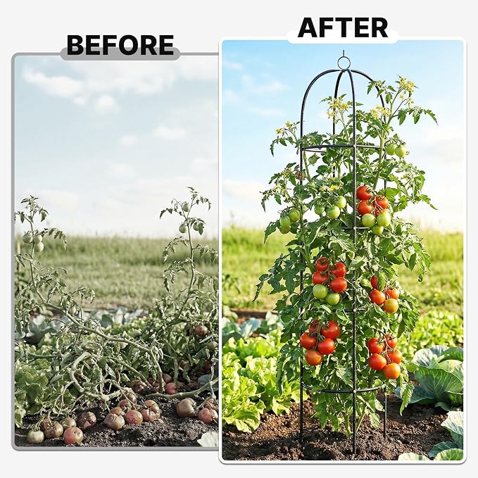 Metal Trellis for Climbing Plants Outdoor, 2026 Upgrade 100% Metal - Image 6