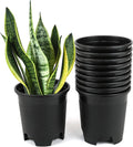 Wholesale Bulk Nursery Pot 4.5 Inch Black Plastic Planters 30-Pack 0.35 Gallon by CottaPlanters