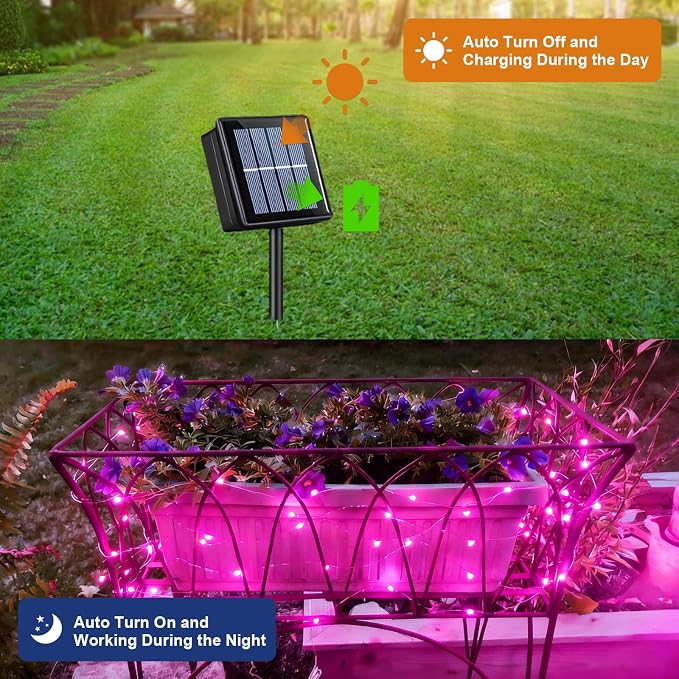 QITONG 4 Pack Pink Solar Fairy Lights, Each 33ft 100 LED String Lights Outdoor - Image 4