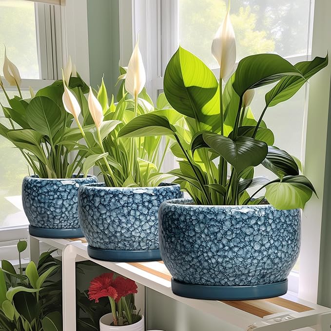 SQOWL Ceramic Pots for Plants - Image 5