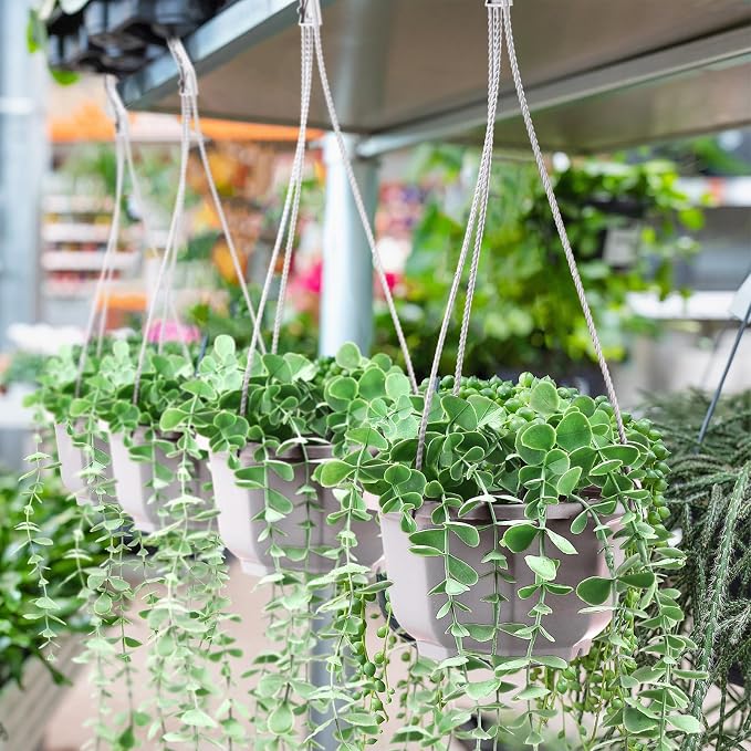 Roshtia 50 Pcs 5.9 inch Plastic Hanging Plant Pots - Image 6