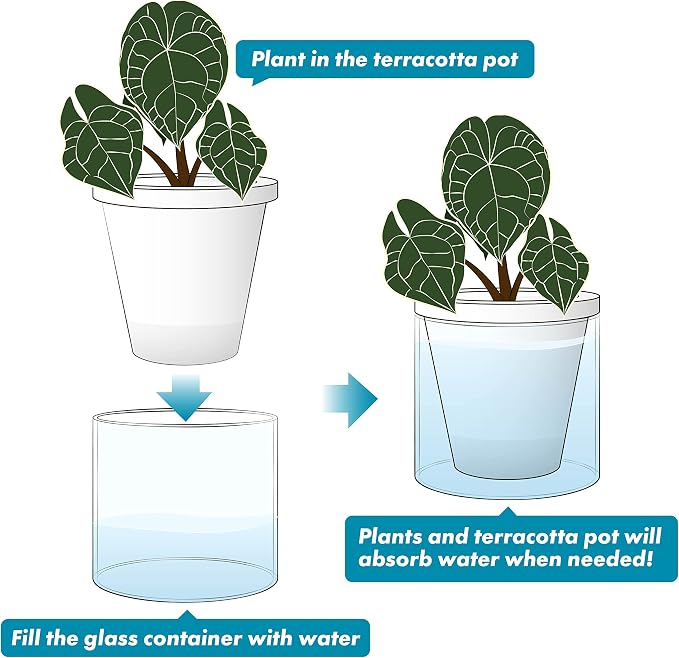D'vine Dev 6 Inch Design Self Watering Planter - Image 6