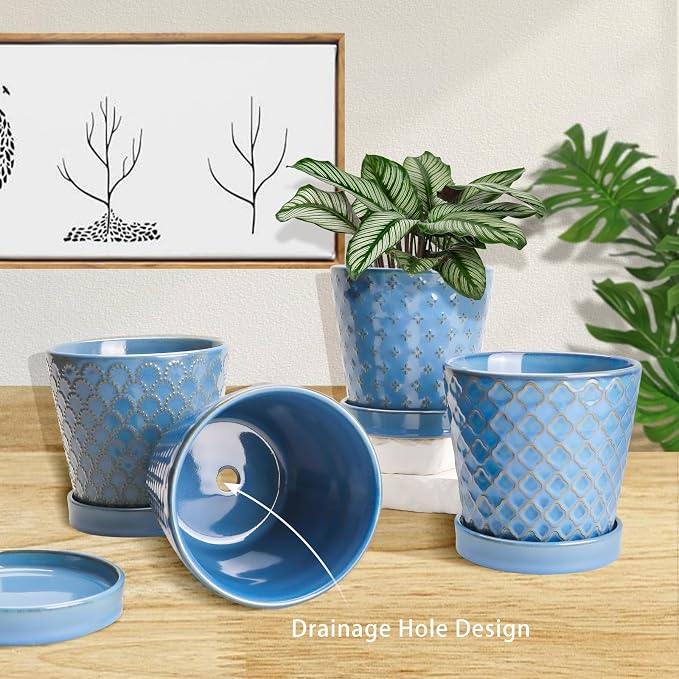 EFISPSS Plant Pots, 5 Inch Pots - Image 4