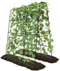 Cucumber Trellis by TrellumeGardenHome