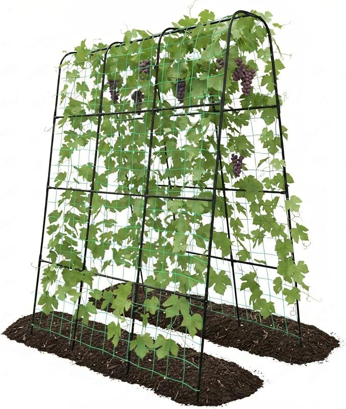 Cucumber Trellis by TrellumeGardenHome