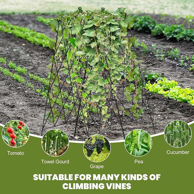 Cucumber Trellis 2 Pack, Foldable A-Frame Garden Trellis - Image 3