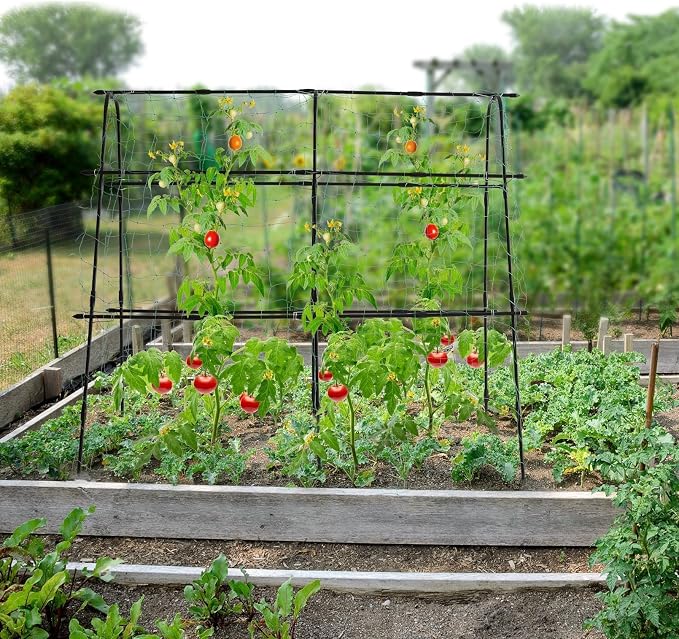 Garden Trellis for Climbing Plants Outdoor, 5.3x5.3ft Garden Trellis Climbing - Image 2