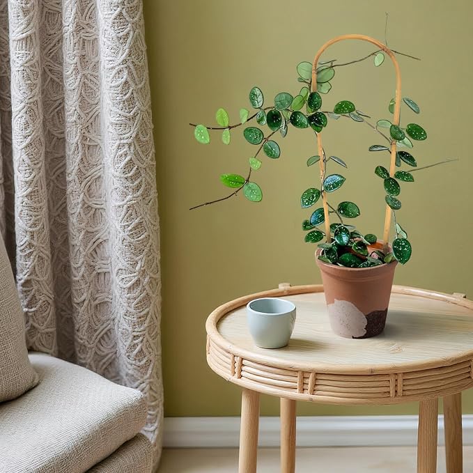 Indoor Plant Trellis for Climbing Plants 16in, 6 Pack Arch Bamboo Trellis for - Image 5