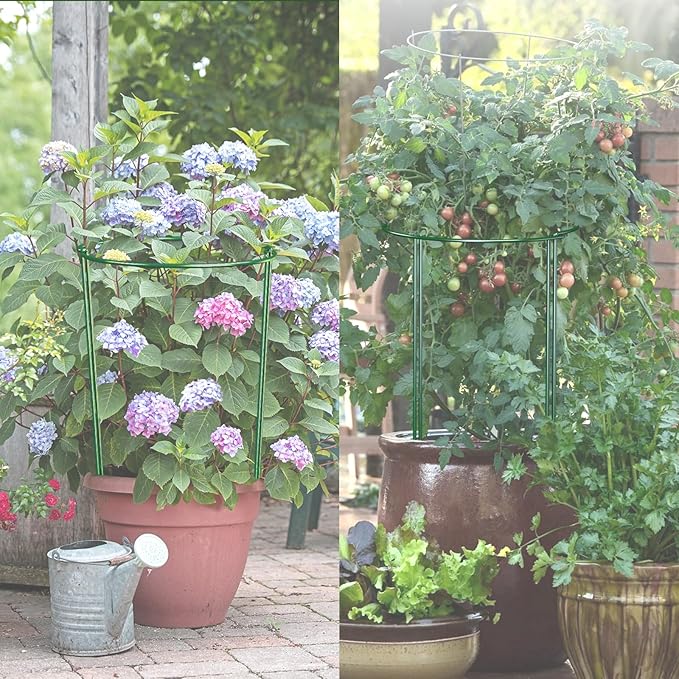 12 Pack 24 inch Plant Support Stakes, Half-Round Metal Garden Flower Stakes - Image 6