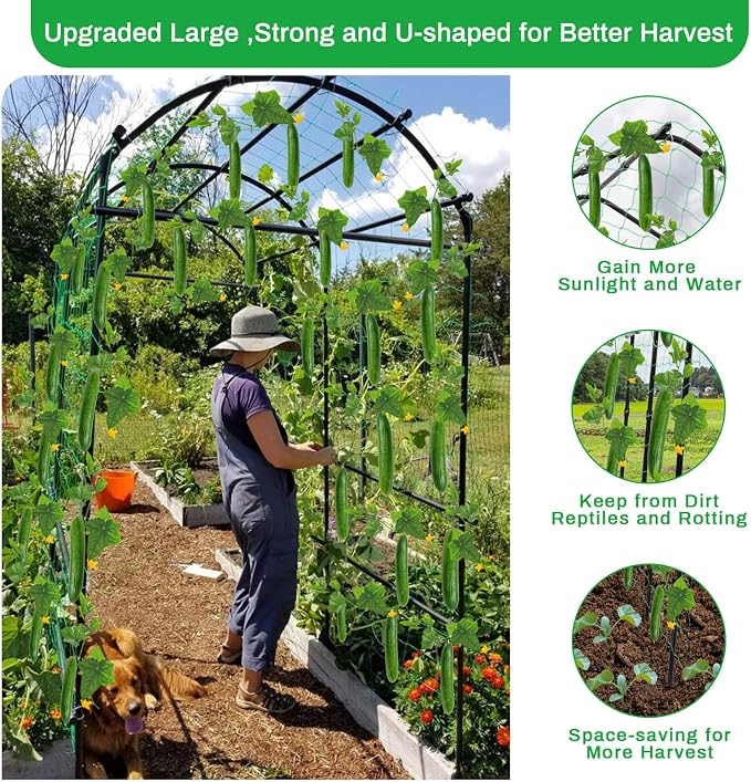 Tall Garden Arch Trellis for Climbing Plants Outdoor, 7 ft Arbor Large Arch - Image 3