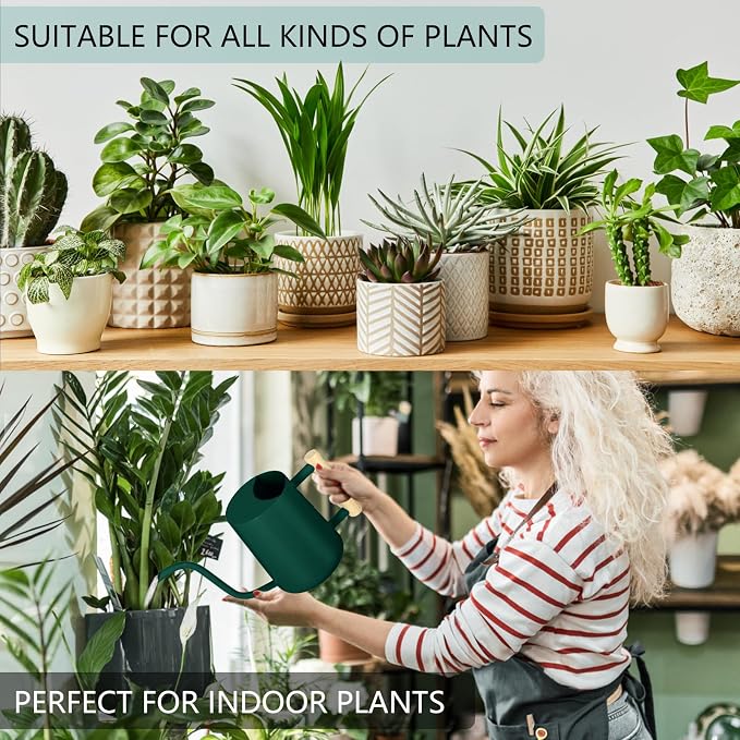 Watering Can Indoor Plants, 35oz Small Indoor Stainless Steel Metal Watering - Image 4