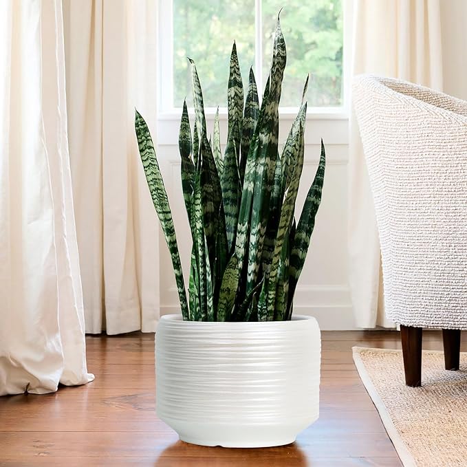 10 Inch Ceramic Plant Pot with Drainage – Large Flower Pot - Image 7