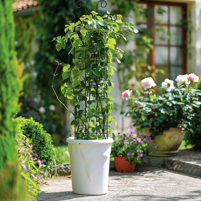 4 Pack 32 Inch Plant Trellis Outdoor Metal Trellis - Image 4