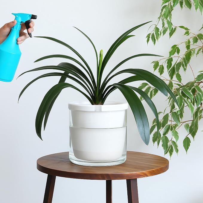 D'vine Dev 10 Inch Design Self Watering Planter - Image 5