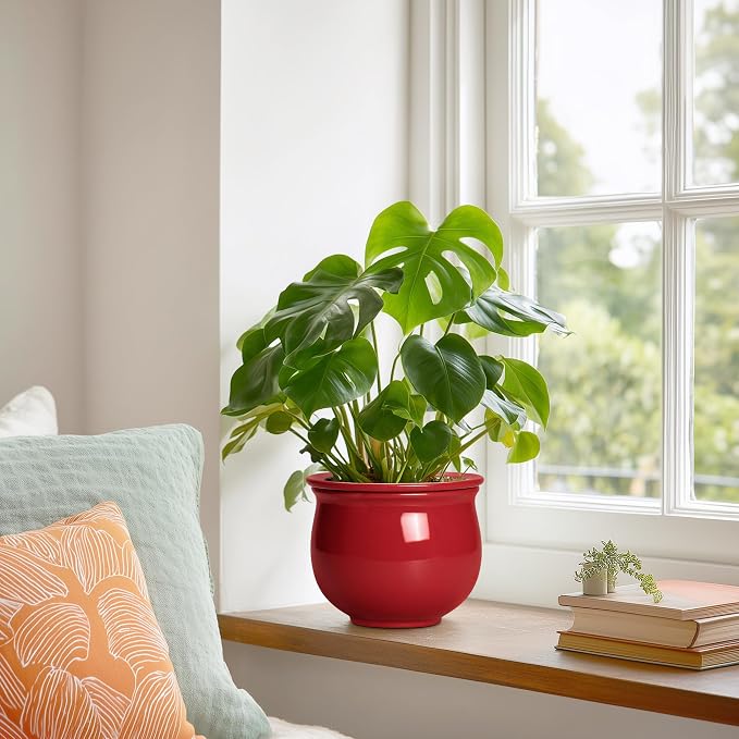 Ceramic Self Watering Planter, 6 Inch African Violet Pots - Image 4