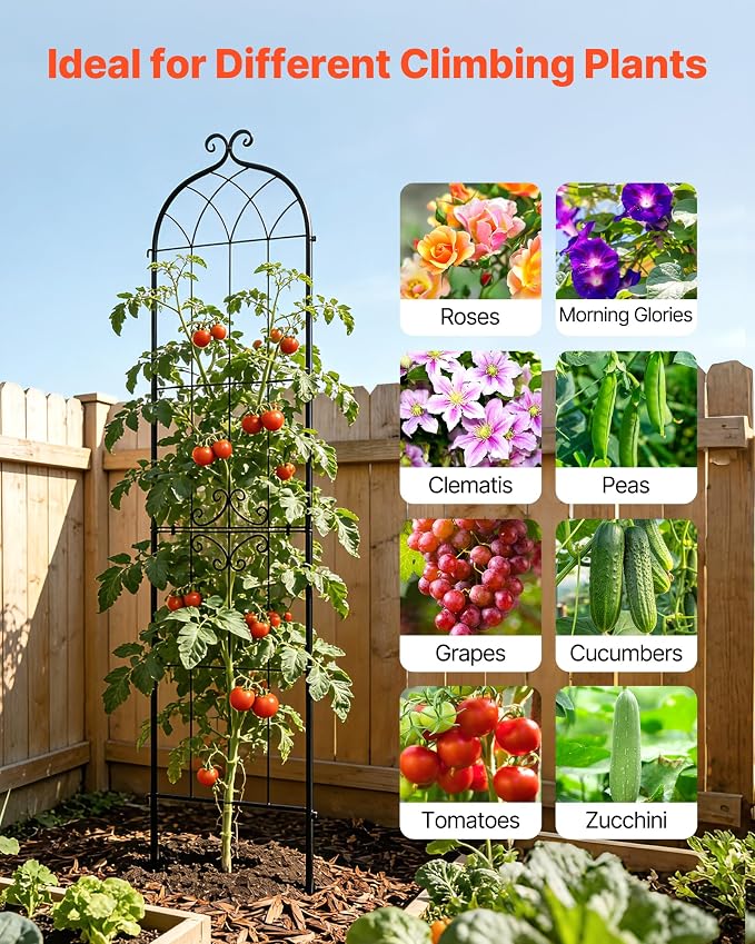 VEVOR Garden Trellis, 87 x 20 inch Rose Trellis, 2 Packs Garden Flower Rose - Image 5