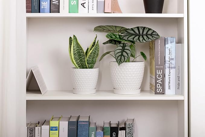 Docrin Ceramic Plant Pots Set of 2, High-Fired Clay Indoor Planters - Image 7