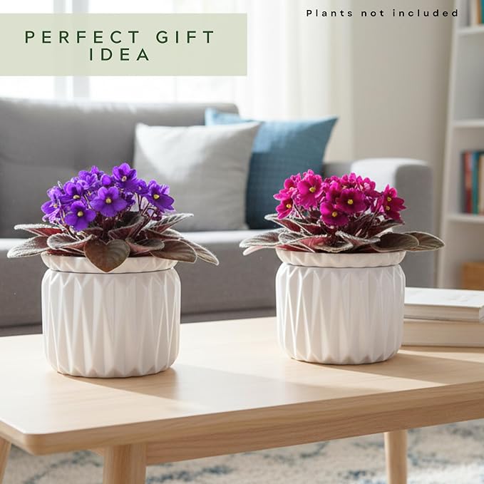 6 Inch African Violet Pots Self Watering, Ceramic Planter - Image 8