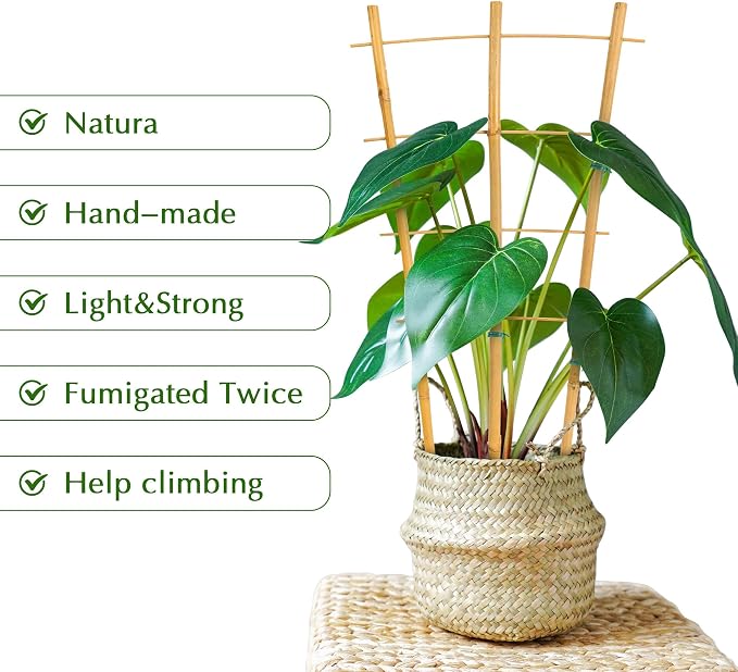 Bamboo Trellis - Image 5