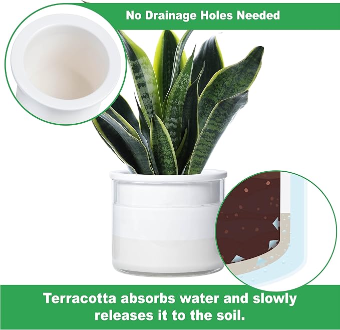Phoenix Vine 6 Inch 4 Inch Self Watering Planter Pots, Design White Terracotta - Image 3