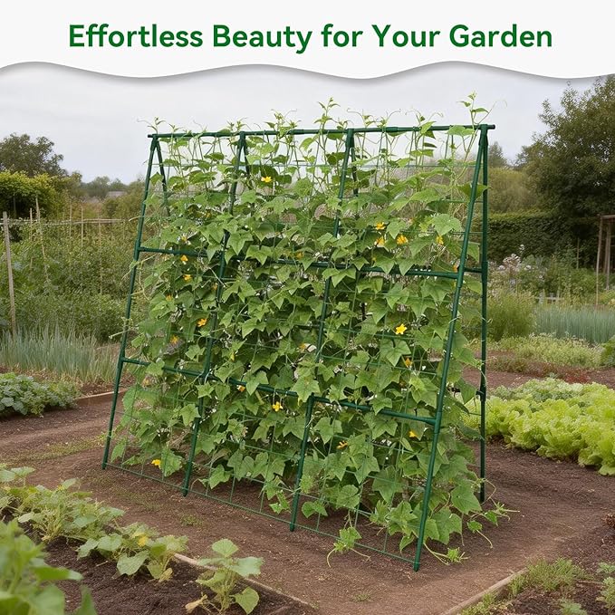 Cucumber Trellis - Image 7