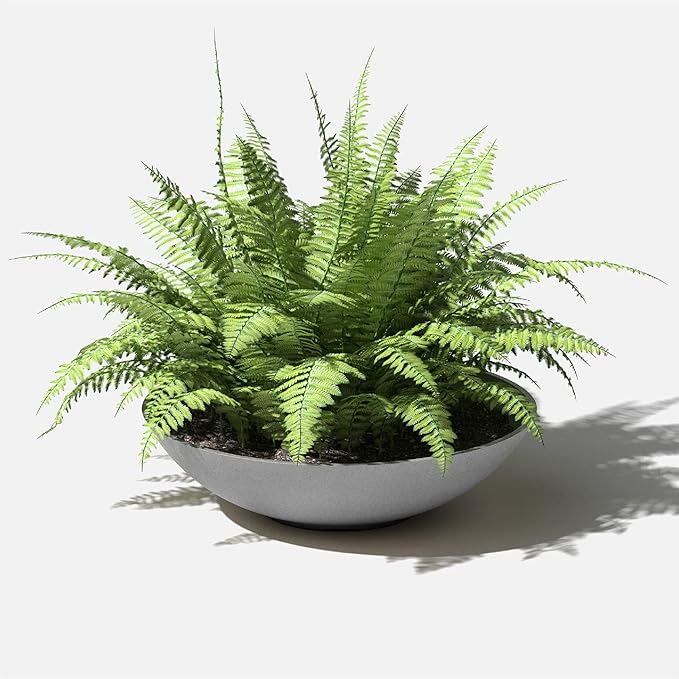 Veradek Mason Series Lane Bowl Planter| - Image 7
