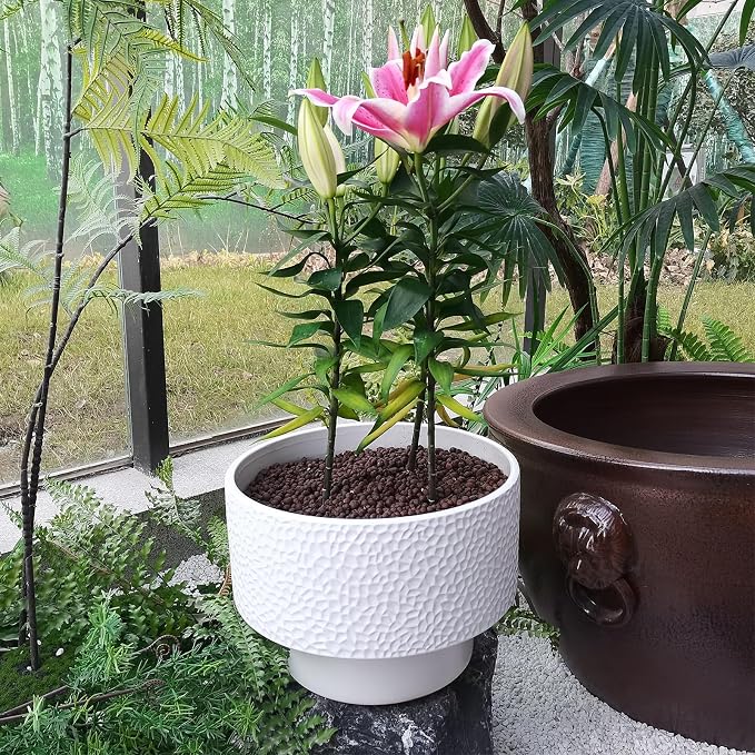 11 Inch Ceramic Plant Pots, Planter Pot - Image 2